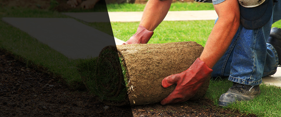 Prosperity Landscapers